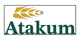 Atakum