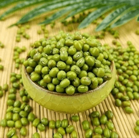 Global Supply Solutions — Green Mung Beans – Global Sourcing & Trading