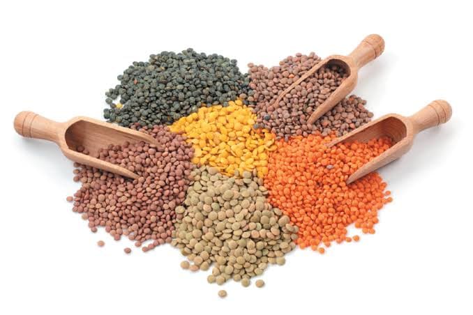 Lentils & Pulses Trading & Supply — Lentils & Pulses Trading & Supply