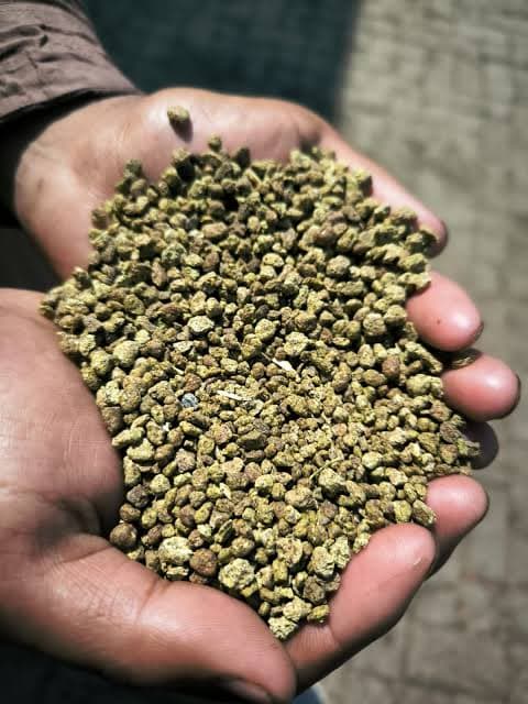 Premium Rapeseed Meal Portfolio — Rapeseed Meal (RSM) – Global Sourcing & Trading