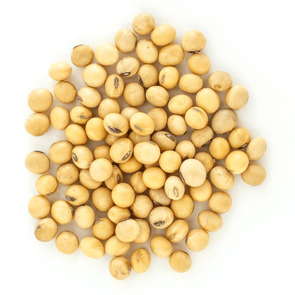 Premium Soybean Meal Portfolio — Soybean Meal (SBM) – Global Sourcing & Trading
