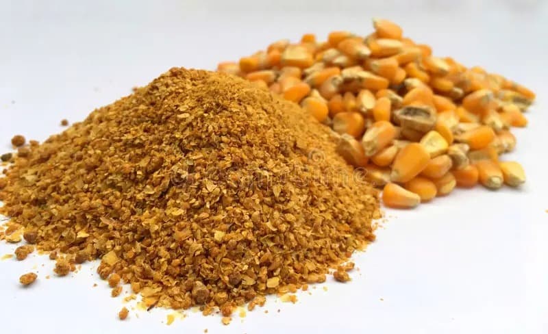 Corn kernels