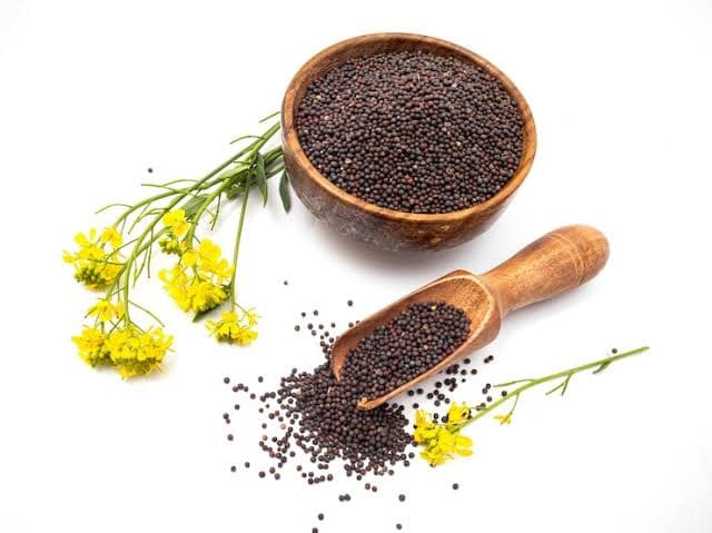 Global Supply Solutions — Canola Seeds – Global Sourcing & Trading
